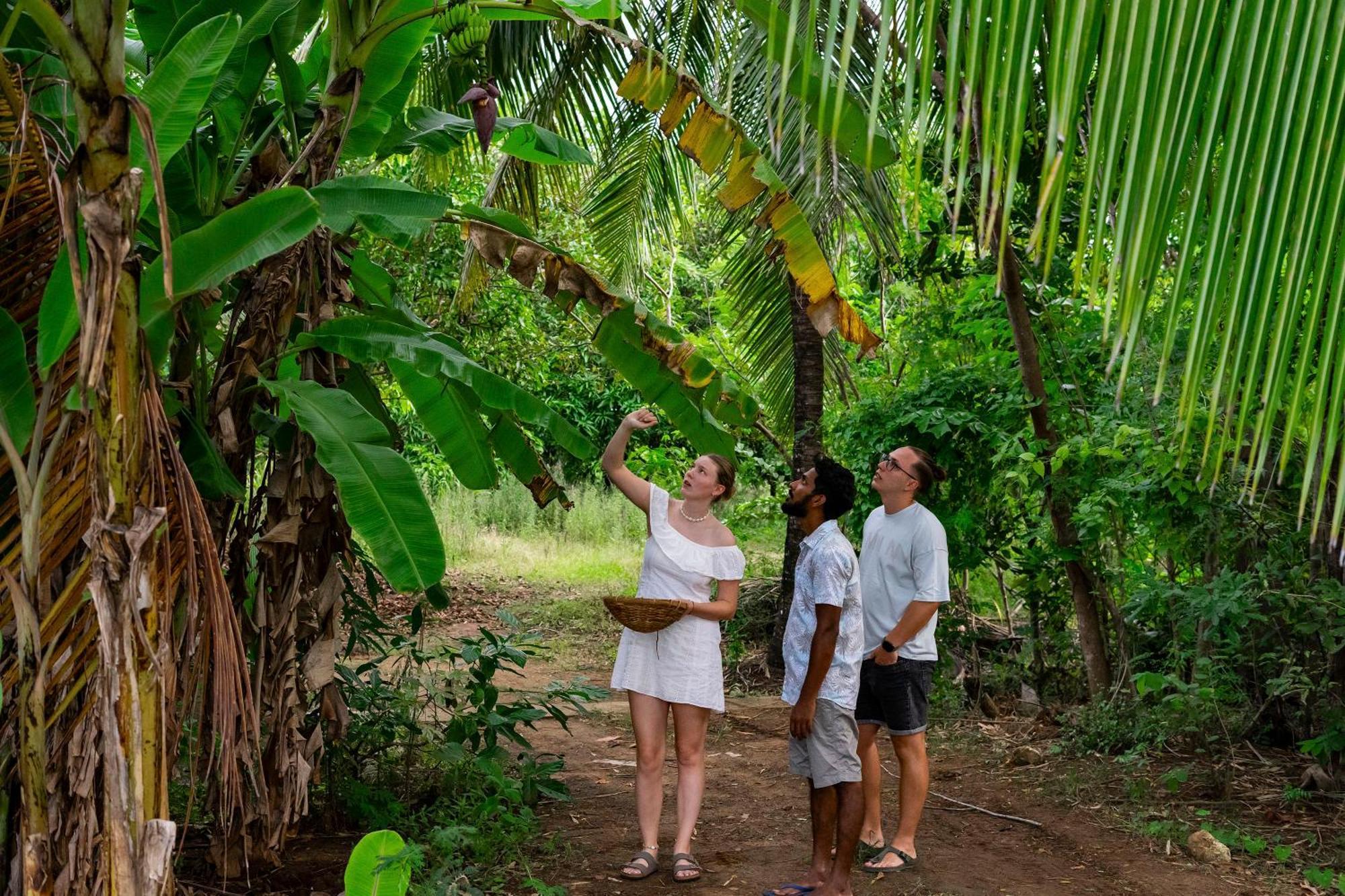 River Paradise Safari House With Cooking Class Udawalawe Exterior foto